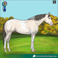 Horse Color:Amber Cream Champagne Tobiano 