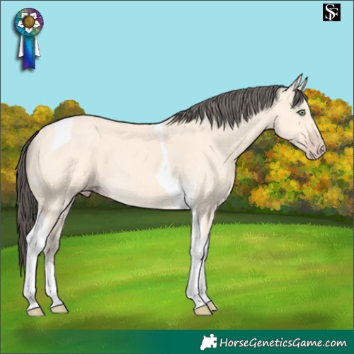 Horse Color:Amber Cream Champagne Tobiano 