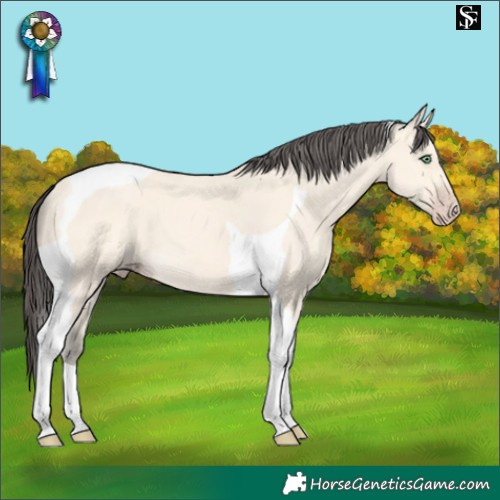 Horse Color:Amber Cream Champagne Tobiano 
