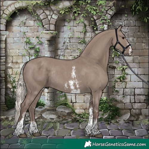 Horse Color:Silver Grullo Sabino Rabicano