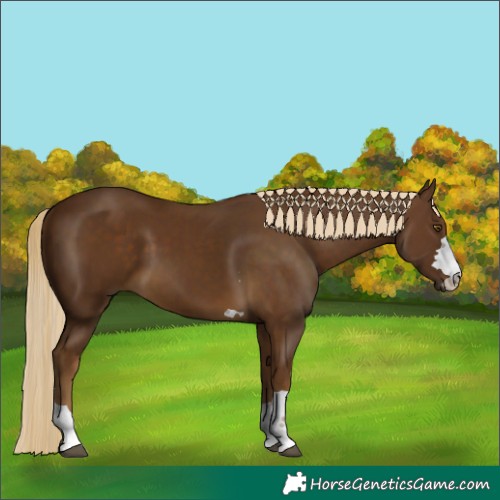 Horse Color:Chocolate Palomino 