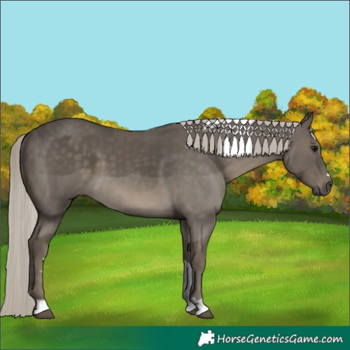 Horse Color:Silver Smoky Black Tobiano