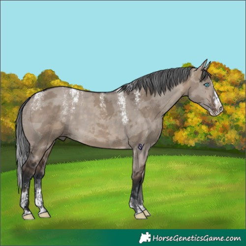 Horse Color:Powder White Brown Dun Merle Splash Rabicano 