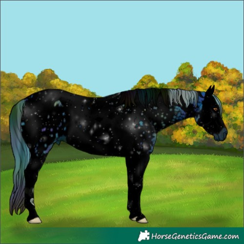 Horse Color:ERROR: UNKNOWN ANOMALY