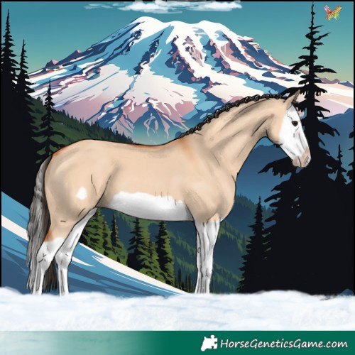 Horse Color:Bay Dun Splash Frame