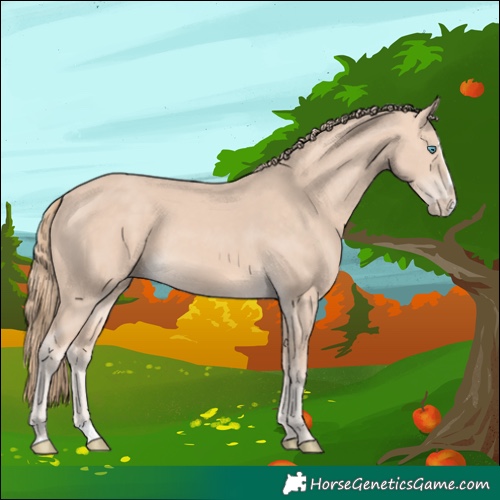 Horse Color:Perlino Splash