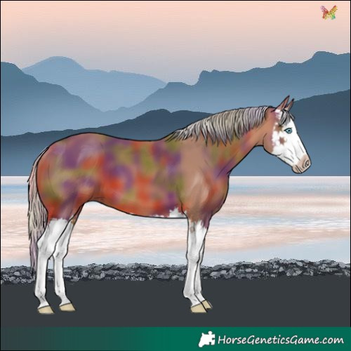 Horse Color:Nacre Silver Bay Splash