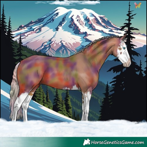 Horse Color:Nacre Silver Bay Splash 