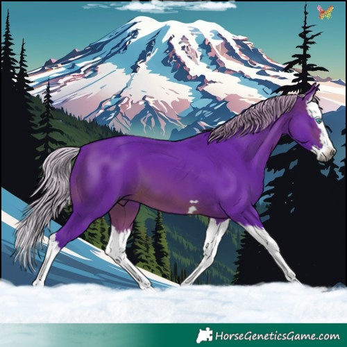 Horse Color:Gray Watercolor Silver Brown Splash