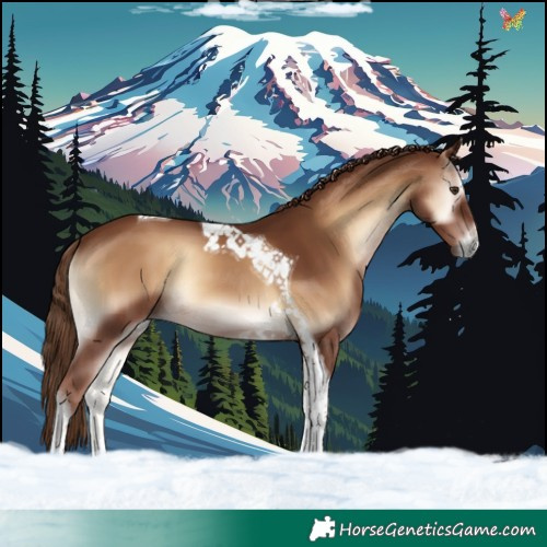 Horse Color:Red Onyx Tobiano