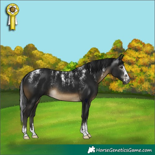 Horse Color:Powder White Gray Buckskin Rabicano