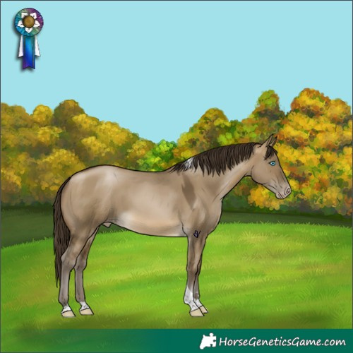 Horse Color:Gray Buckskin Pearl Dun Tobiano