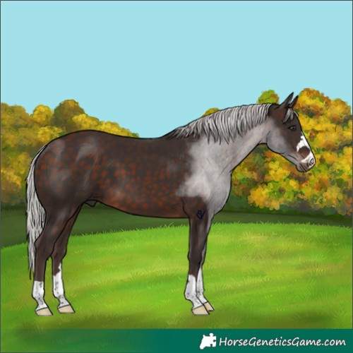 Horse Color:Silver Bay Mushroom
