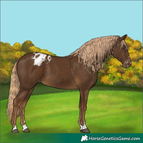 Horse Color:Chocolate Palomino Varnish 