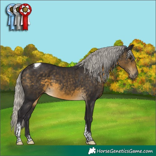 Horse Color:Silver Buckskin Tobiano 