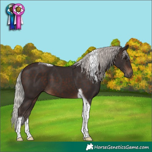 Horse Color:Silver Brown Tobiano 