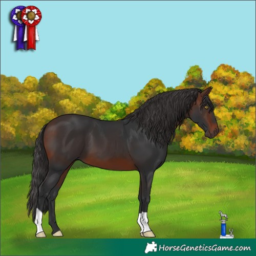 Horse Color:Brown 