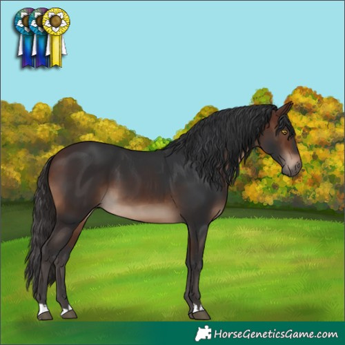 Horse Color:Brown 