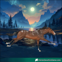 Horse Color:Powder White Bay Sabino
