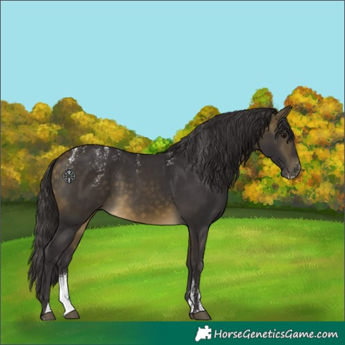 Horse Color:Powder White Buckskin 