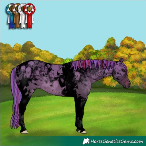 Horse Color:Void Painted Brown Dun Tobiano 