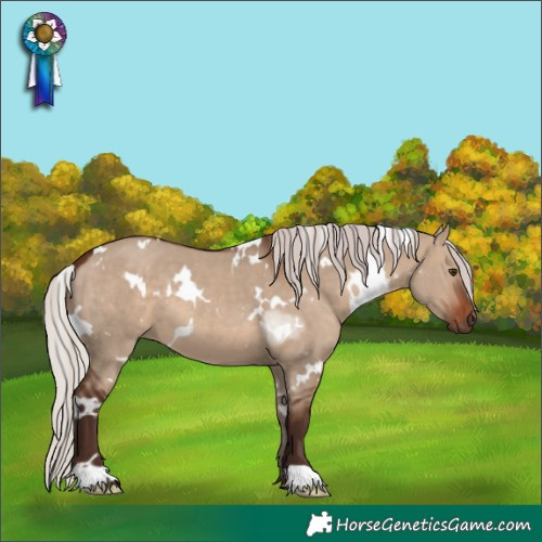 Horse Color:White Spotted Silver Brown Dun 