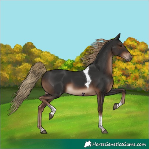 Horse Color:Liver Chestnut Tobiano Rabicano 