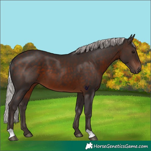 Horse Color:Silver Brown 