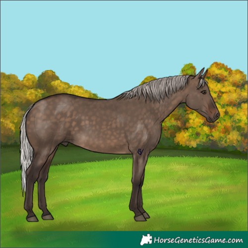 Horse Color:Silver Brown Dun