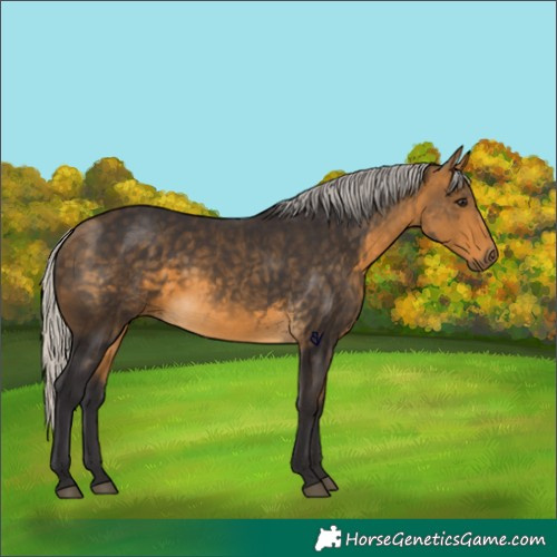 Horse Color:Silver Buckskin 