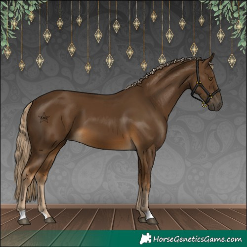 Horse Color:Chocolate Palomino 