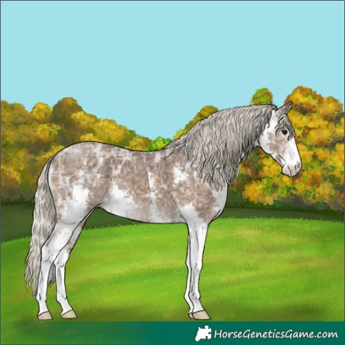 Horse Color:Silver Smoky Black Ice Sabino