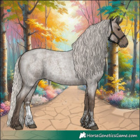 Horse Color:Silver Blue Roan Sabino 