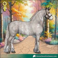 Horse Color:Silver Blue Roan Sabino 