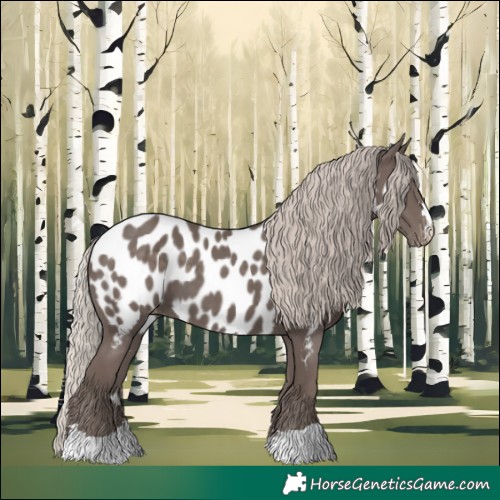 Horse Color:Silver Black Near Leopard 