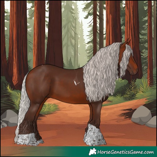 Horse Color:Silver Brown Tobiano 