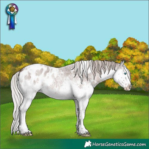 Horse Color:White Spotted Silver Blue Roan Splash Blanket