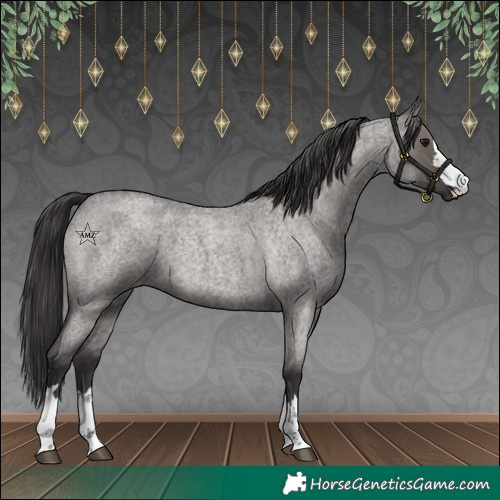 Horse Color:Smoky Grullo Roan