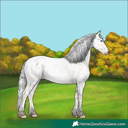 Horse Color:Silver Sable Champagne Pearl Sabino Rabicano