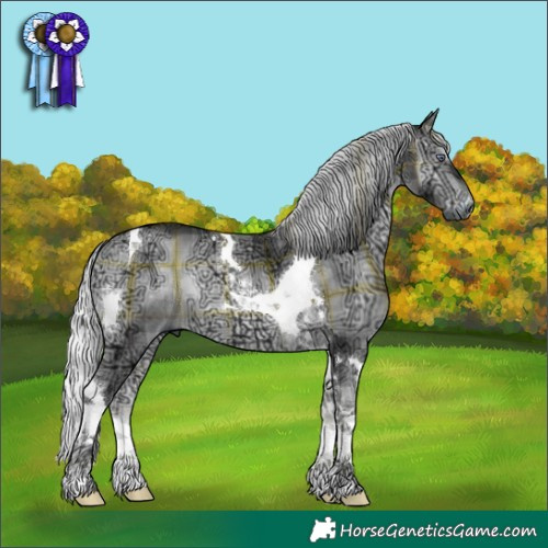 Horse Color:Gray Plaid Silver Brown Chinchilla Ice Onyx Tobiano