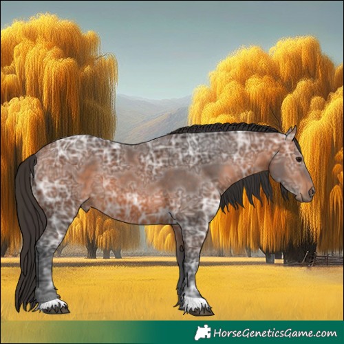 Horse Color:Bay Ice