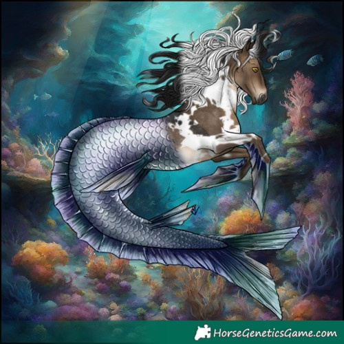 Horse Color:Gray White Spotted Brown Dun Rabicano 