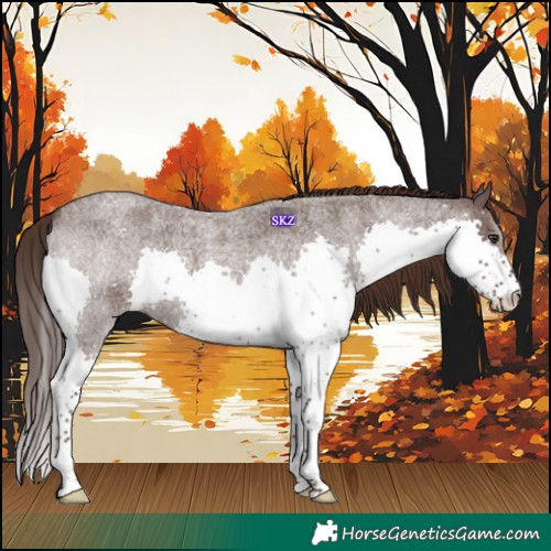 Horse Color:Liver Red Roan Splash
