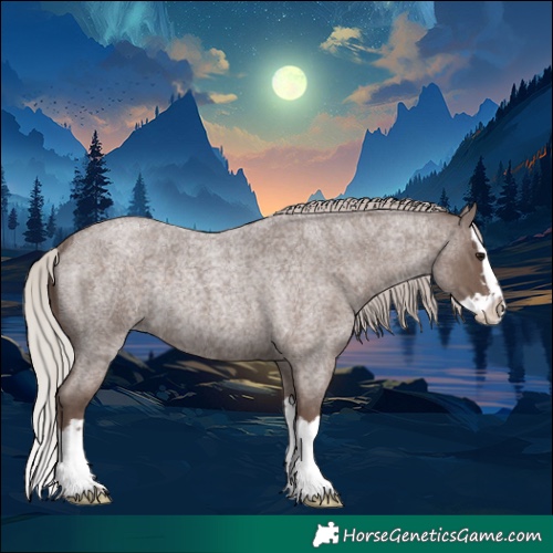 Horse Color:Silver Blue Roan Splash Rabicano