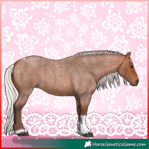 Horse Color:Silver Bay Roan Tobiano 