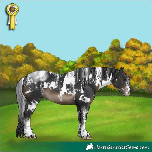 Horse Color:Powder White White Spotted Brown 