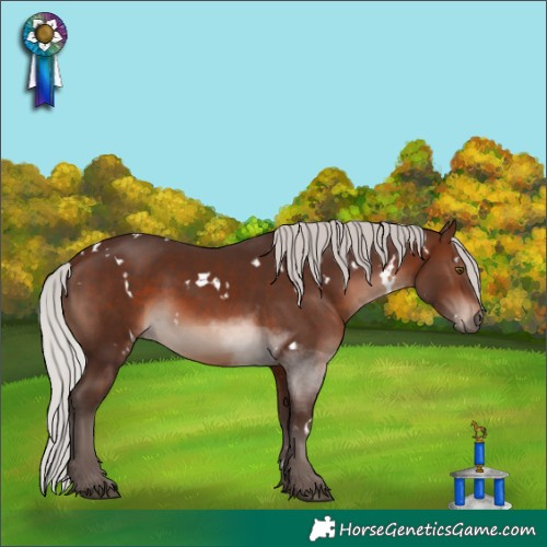 Horse Color:White Spotted Silver Brown Mushroom 