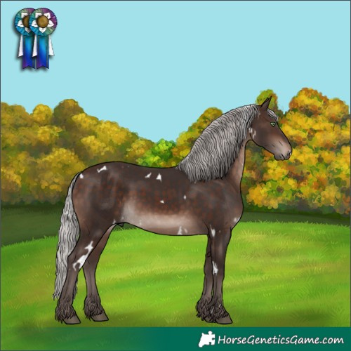 Horse Color:White Spotted Silver Brown Mushroom 