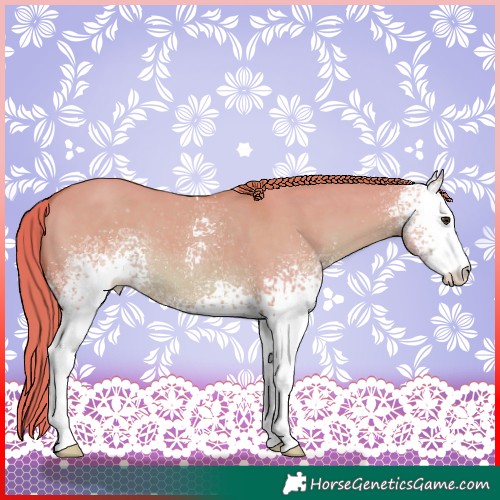 Horse Color:Watercolor White Spotted Red Dun 