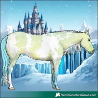 Horse Color:Watercolor White Spotted Bay Dun 